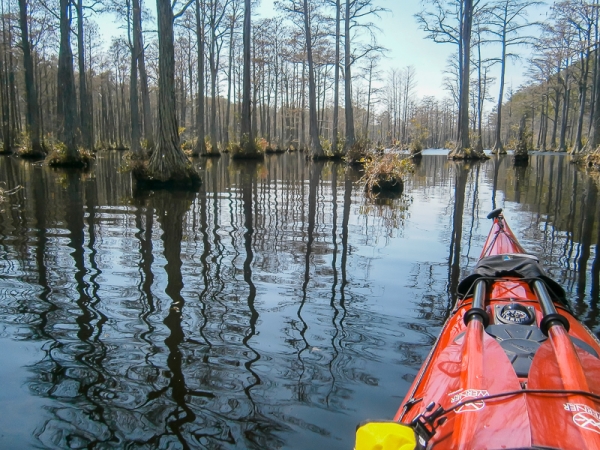 Lake Juniper, SC