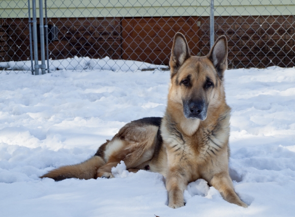 First Snow