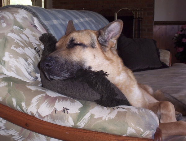 Sound Asleep