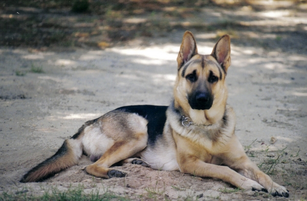 Leo