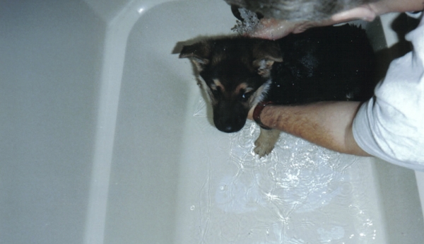 Leo getting washed at 6 weeks