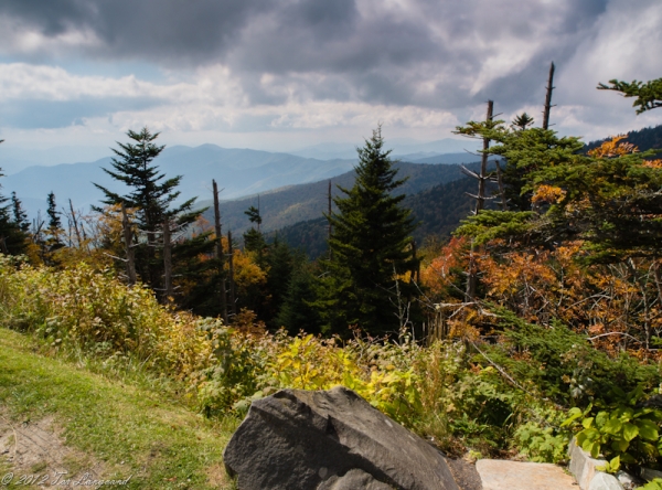 Clingmans Dome