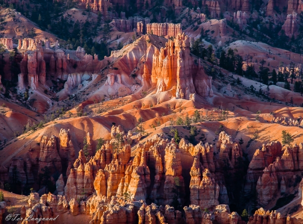 Bryce Canyon NP