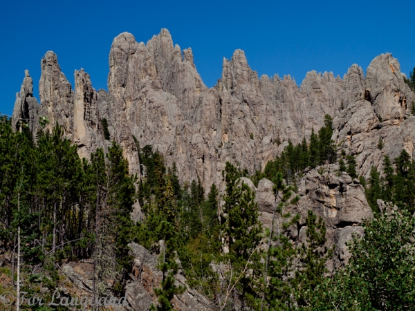 Needles Hwy