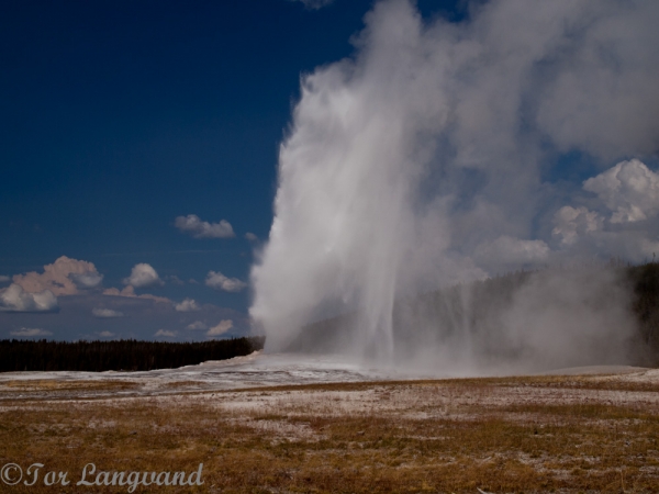 Old Faithful, Yellowstone NP