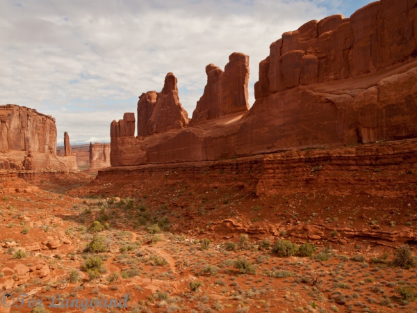 arches np