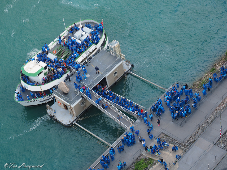 Maid Of The Mist - All Onboard