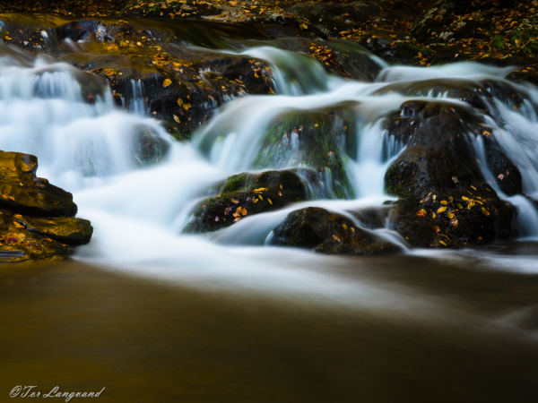 Great Smoky Mountains NP