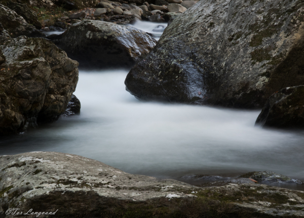 Great Smoky Mountains NP