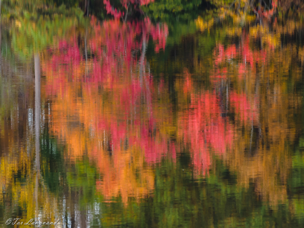 Reflections Of Fall