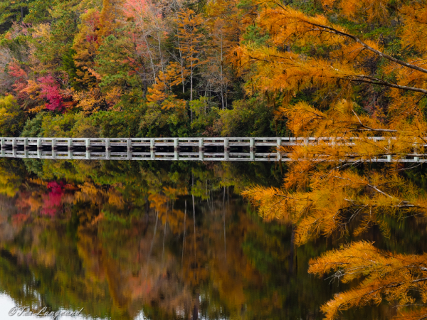 Reflections Of Fall