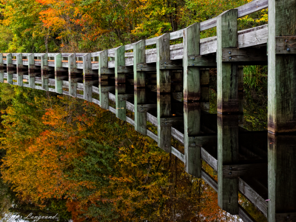 Reflections Of Fall