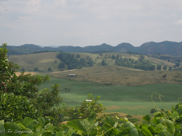 Southern VA countryside