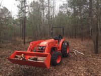 Foodplot for turkey and deer